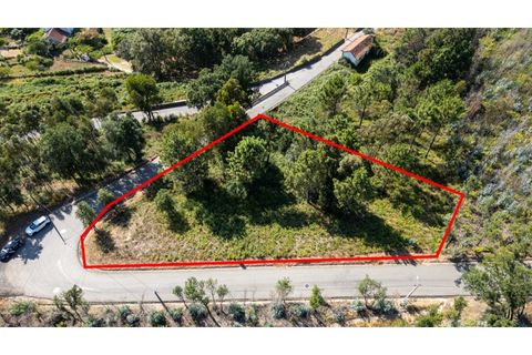 Terra a Branca, Aveiro, Branca - € 85.000 | Ref: OAZ4157 - foto 10