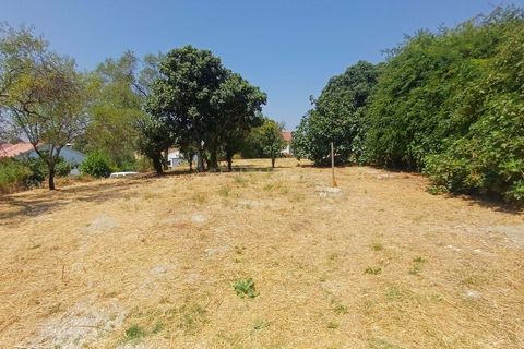 Helårsgrund i Olaia e Paco, Santarem, Olaia e Paco - € 58.000 | Ref: C0452-00494 - foto 4