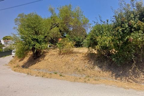 Helårsgrund i Olaia e Paco, Santarem, Olaia e Paco - € 58.000 | Ref: C0452-00494 - foto 5