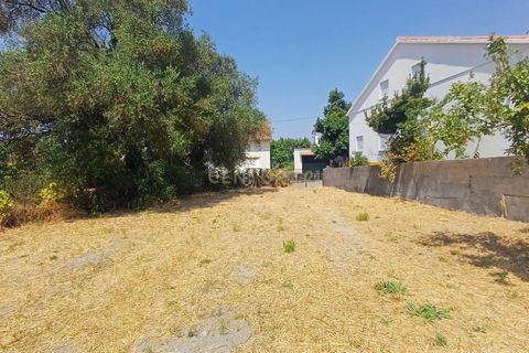 Helårsgrund i Olaia e Paco, Santarem, Olaia e Paco - € 58.000 | Ref: C0452-00494 - foto 6