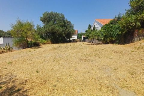 Helårsgrund i Olaia e Paco, Santarem, Olaia e Paco - € 58.000 | Ref: C0452-00494 - foto 11