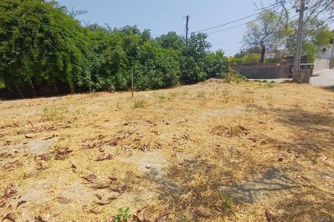 Helårsgrund i Olaia e Paco, Santarem, Olaia e Paco - € 58.000 | Ref: C0452-00494 - foto 12
