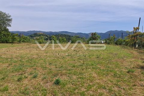 Helårsgrund i Vila Verde, Braga, Vila Verde - € 38.500 | Ref: 01-3676 - foto 2