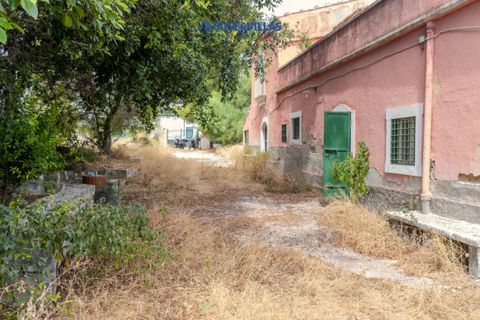 Villa i Noto, Siracusa, Noto - € 800.000 | Ref: 1188 - foto 8