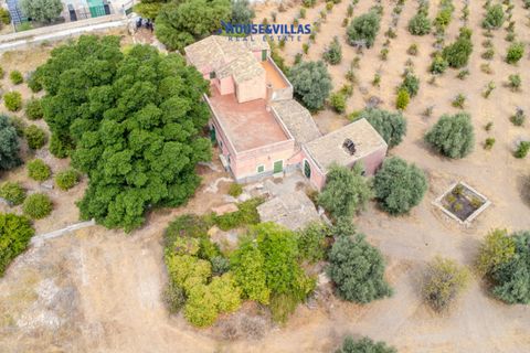 Villa i Noto, Siracusa, Noto - € 800.000 | Ref: 1188 - foto 9
