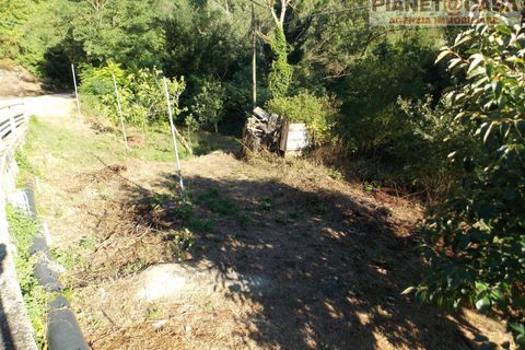 Villa i Ascoli Piceno, Ascoli Piceno, Ascoli Piceno - € 50.000 | Ref: VM2736 - foto 20