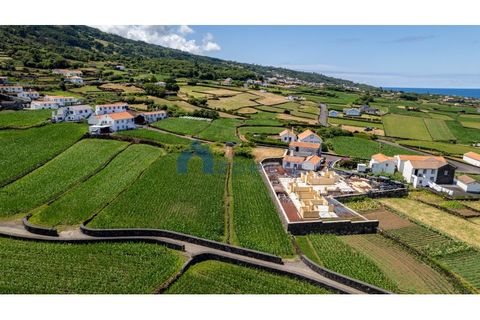 Tomt i Prainha, Pico, Prainha - € 35 000 | Ref: AZO1-0247 - foto 4