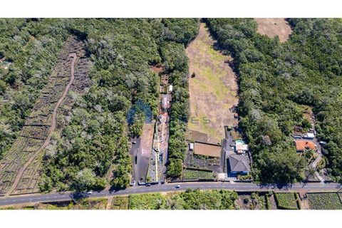 Terra a Candelaria, Pico, Candelaria - € 35.000 | Ref: AZO1-0250 - foto 2