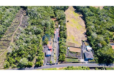 Terra a Candelaria, Pico, Candelaria - € 35.000 | Ref: AZO1-0250 - foto 3