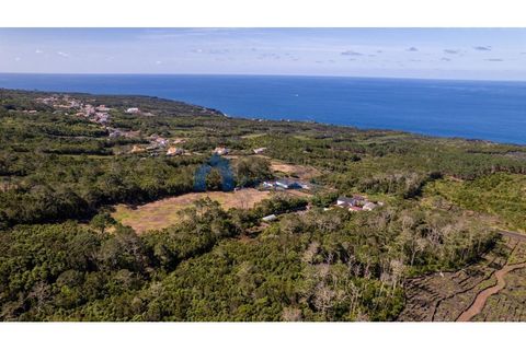 Terra a Candelaria, Pico, Candelaria - € 35.000 | Ref: AZO1-0250 - foto 4