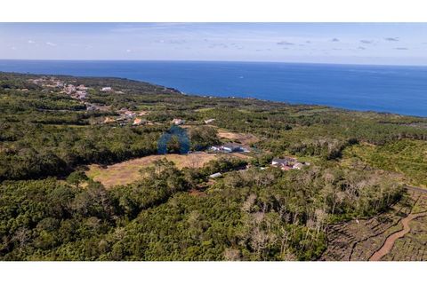 Terra a Candelaria, Pico, Candelaria - € 35.000 | Ref: AZO1-0250 - foto 5
