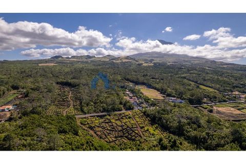 Terra a Candelaria, Pico, Candelaria - € 35.000 | Ref: AZO1-0250 - foto 6