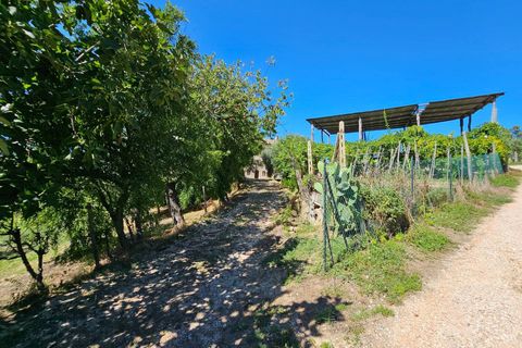 Landejendom i Fermo, Fermo, Fermo - € 195.000 | Ref: 33591 - foto 19