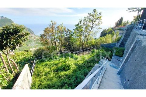 Villa i Arco da Calheta, Madeira, Arco da Calheta - € 980.000 | Ref: 100729 - foto 32