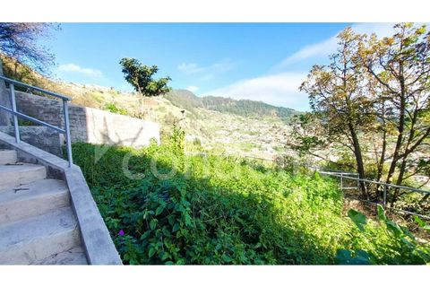 Villa i Arco da Calheta, Madeira, Arco da Calheta - € 980.000 | Ref: 100729 - foto 33