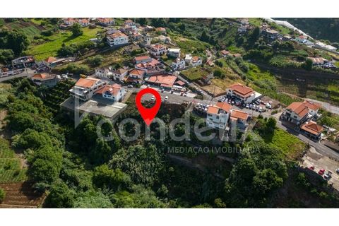 Helårsgrund i Ponta do Sol, Madeira, Ponta do Sol - € 190.000 | Ref: 101225 - foto 2