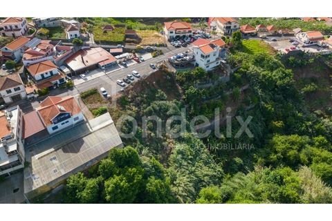 Helårsgrund i Ponta do Sol, Madeira, Ponta do Sol - € 190.000 | Ref: 101225 - foto 3