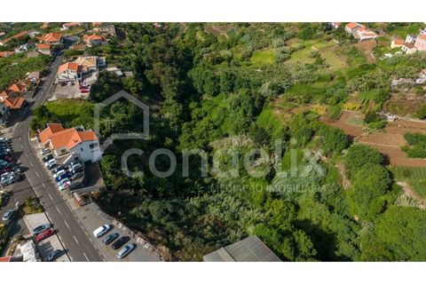 Helårsgrund i Ponta do Sol, Madeira, Ponta do Sol - € 190.000 | Ref: 101225 - foto 4