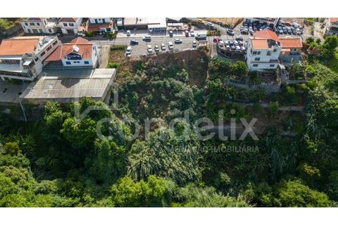 Helårsgrund i Ponta do Sol, Madeira, Ponta do Sol - € 190.000 | Ref: 101225 - foto 5