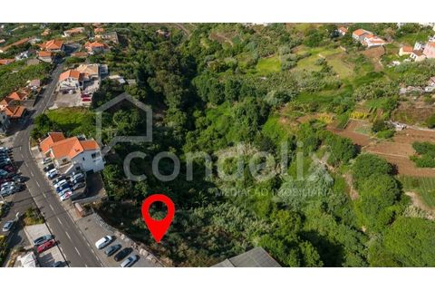 Helårsgrund i Ponta do Sol, Madeira, Ponta do Sol - € 190.000 | Ref: 101225 - foto 7