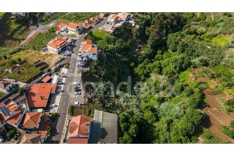 Helårsgrund i Ponta do Sol, Madeira, Ponta do Sol - € 190.000 | Ref: 101225 - foto 8