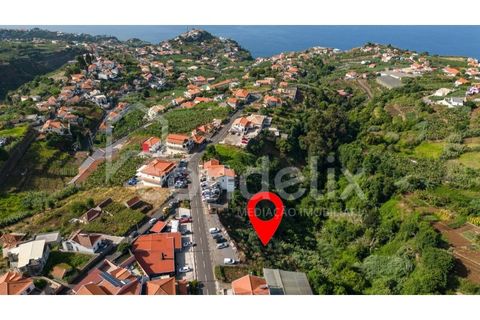 Helårsgrund i Ponta do Sol, Madeira, Ponta do Sol - € 190.000 | Ref: 101225 - foto 9