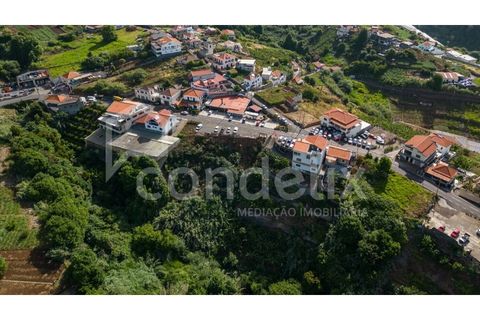 Helårsgrund i Ponta do Sol, Madeira, Ponta do Sol - € 190.000 | Ref: 101225 - foto 10