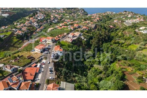 Helårsgrund i Ponta do Sol, Madeira, Ponta do Sol - € 190.000 | Ref: 101225 - foto 12