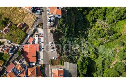 Helårsgrund i Ponta do Sol, Madeira, Ponta do Sol - € 190.000 | Ref: 101225 - foto 13