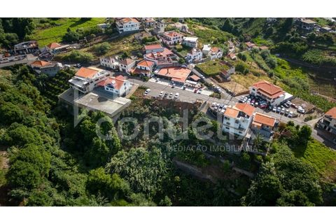 Helårsgrund i Ponta do Sol, Madeira, Ponta do Sol - € 190.000 | Ref: 101225 - foto 14