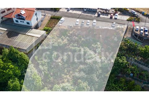 Helårsgrund i Ponta do Sol, Madeira, Ponta do Sol - € 190.000 | Ref: 101225 - foto 15