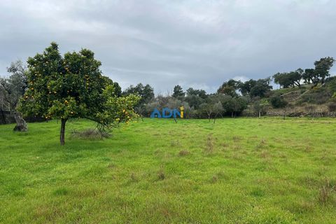 Farm hus i Castelo Branco, Castelo Branco, Castelo Branco - € 85.000 | Ref: 125082 - foto 15