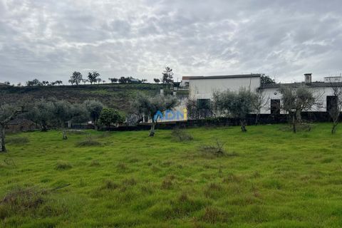 Farm hus i Castelo Branco, Castelo Branco, Castelo Branco - € 85.000 | Ref: 125082 - foto 16