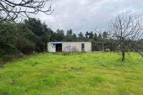 Farm hus i Castelo Branco, Castelo Branco, Castelo Branco - € 85.000 | Ref: 125082 - foto 20