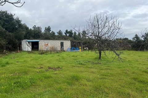 Farm hus i Castelo Branco, Castelo Branco, Castelo Branco - € 85.000 | Ref: 125082 - foto 21