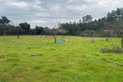Farm hus i Castelo Branco, Castelo Branco, Castelo Branco - € 85.000 | Ref: 125082 - foto 22