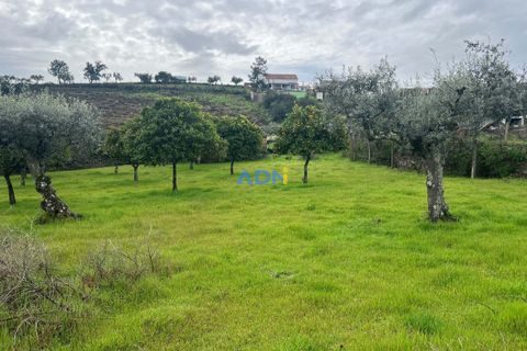 Farm hus i Castelo Branco, Castelo Branco, Castelo Branco - € 85.000 | Ref: 125082 - foto 26