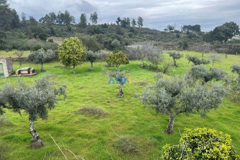 Farm hus i Castelo Branco, Castelo Branco, Castelo Branco - € 85.000 | Ref: 125082 - foto 28