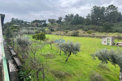 Farm hus i Castelo Branco, Castelo Branco, Castelo Branco - € 85.000 | Ref: 125082 - foto 29