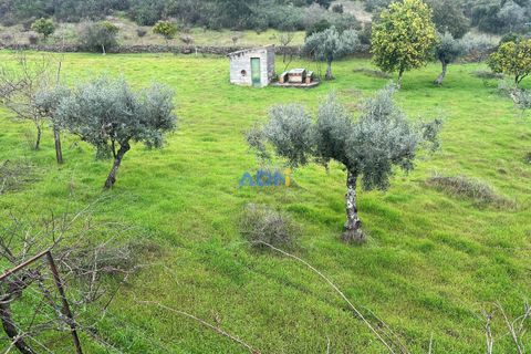 Farm hus i Castelo Branco, Castelo Branco, Castelo Branco - € 85.000 | Ref: 125082 - foto 31