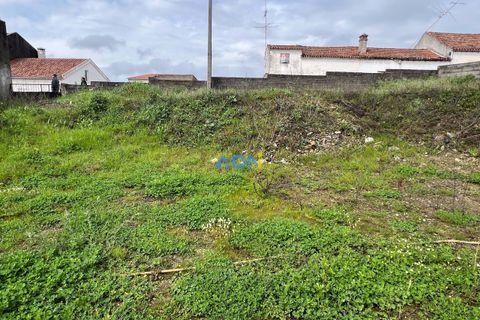 Farm hus i Castelo Branco, Castelo Branco, Castelo Branco - € 85.000 | Ref: 125082 - foto 35