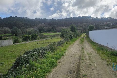 Terra a Esposende, Braga, Esposende - € 70.000 | Ref: 146154 - foto 3