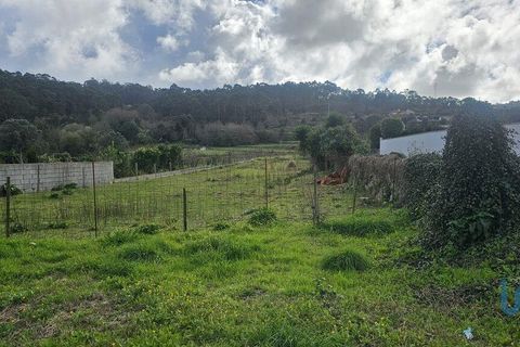Terra a Esposende, Braga, Esposende - € 70.000 | Ref: 146154 - foto 5