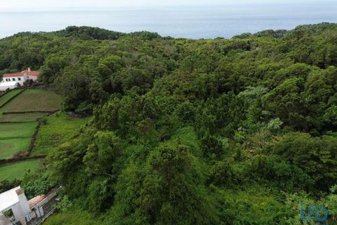 Byhus i Lajes do Pico, Pico, Lajes do Pico - € 250.000 | Ref: 144897 - foto 11