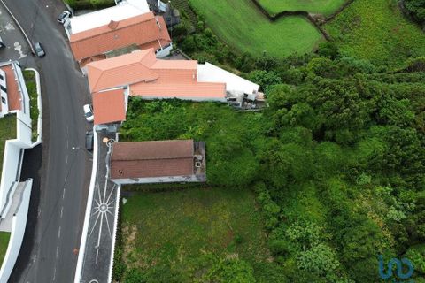 Byhus i Lajes do Pico, Pico, Lajes do Pico - € 250.000 | Ref: 144897 - foto 12