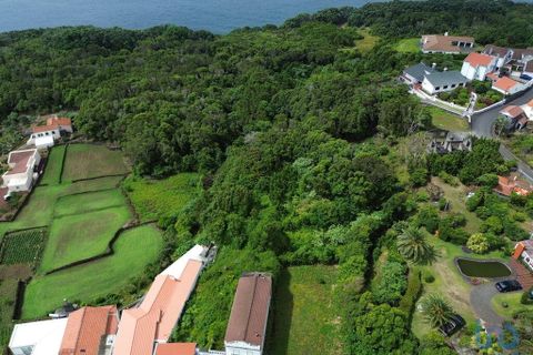 Byhus i Lajes do Pico, Pico, Lajes do Pico - € 250.000 | Ref: 144897 - foto 13