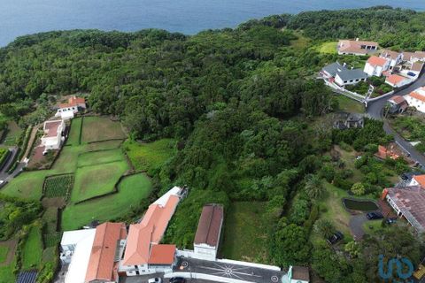 Byhus i Lajes do Pico, Pico, Lajes do Pico - € 250.000 | Ref: 144897 - foto 14