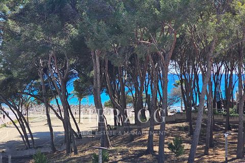 Lejlighed i Peguera, Mallorca, Peguera - € 620.000 | Ref: 1130 - foto 4