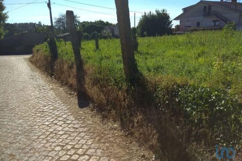 Terra a Esposende, Braga, Esposende - € 80.000 | Ref: 146158 - foto 3