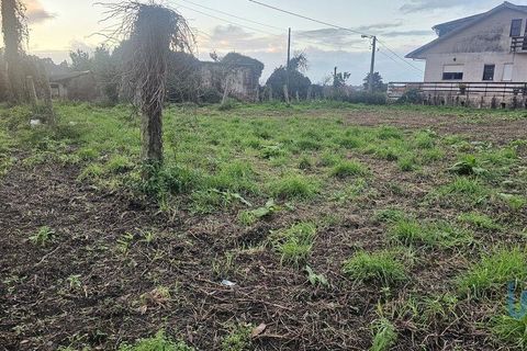 Terra a Esposende, Braga, Esposende - € 80.000 | Ref: 146158 - foto 5